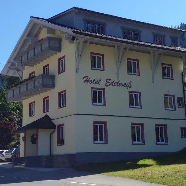 Pension Edelweiss - Bergdorf Gargellen 1423m，位于加舒恩的酒店