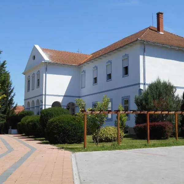 Fábiánics Kastély Misefa，位于Gyůrůs的酒店