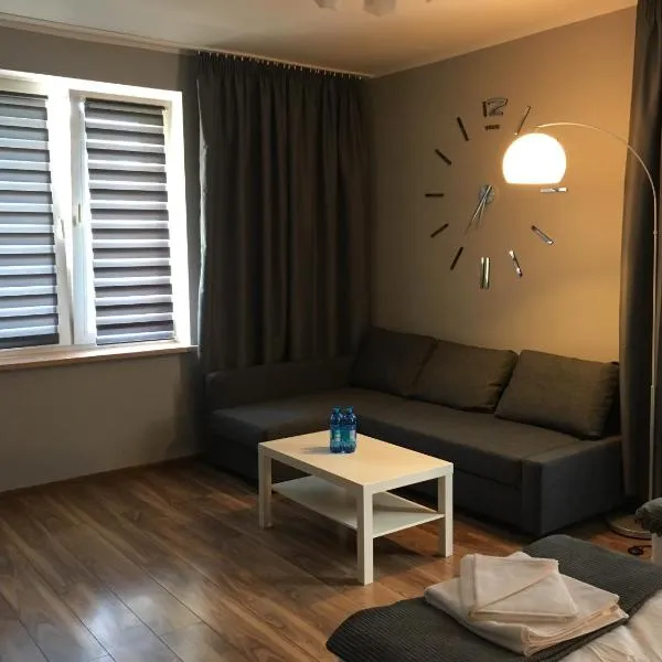 Apartament Elbląg Centrum，位于埃尔布隆格的酒店