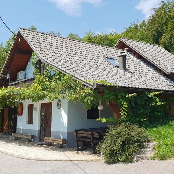 Zidanica Meglič - Vineyard cottage Meglič，位于Mirna的酒店