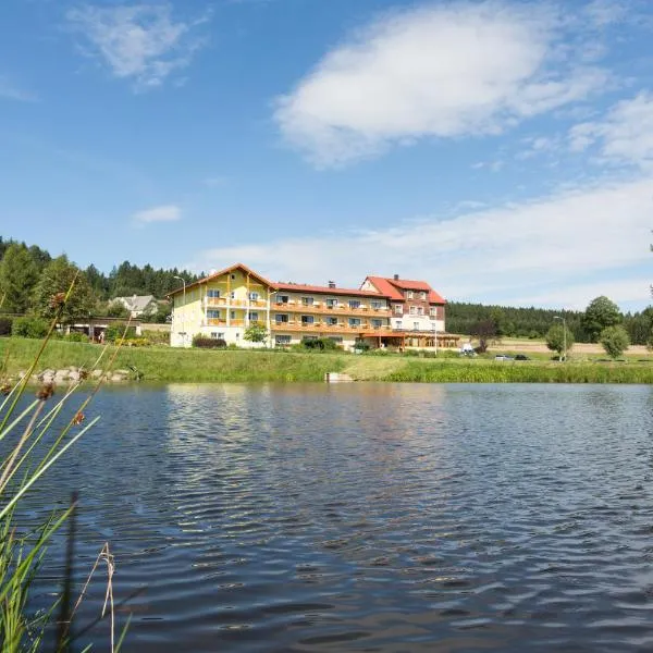 Gasthof-Pension Nordwald，位于Harbach的酒店