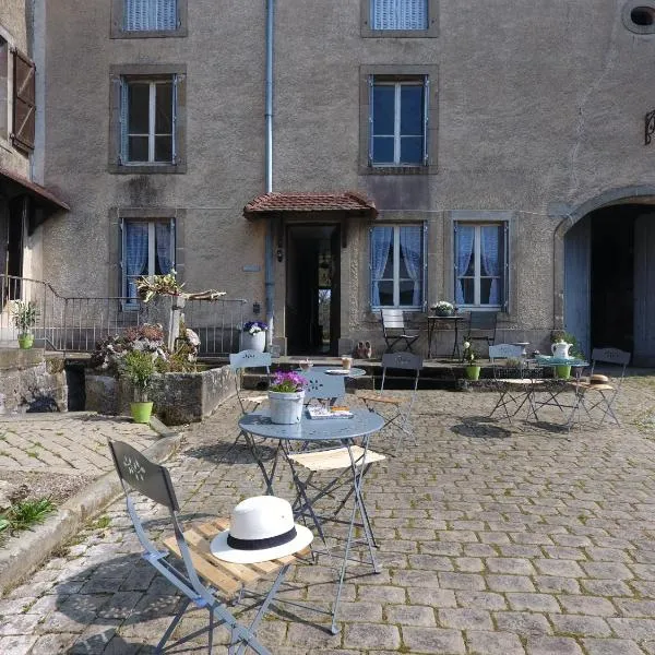 La Maison du Notaire, ook voor uw viervoeter een prettig verblijf，位于Vitrey-sur-Mance的酒店