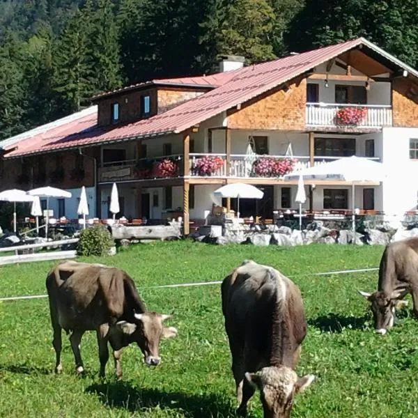 Berggasthof Riefenkopf，位于奥伯斯特多夫的酒店