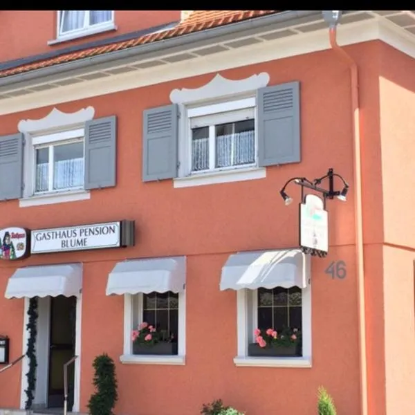 Gasthaus&Pension Blume Ötigheim，位于Ötigheim的酒店
