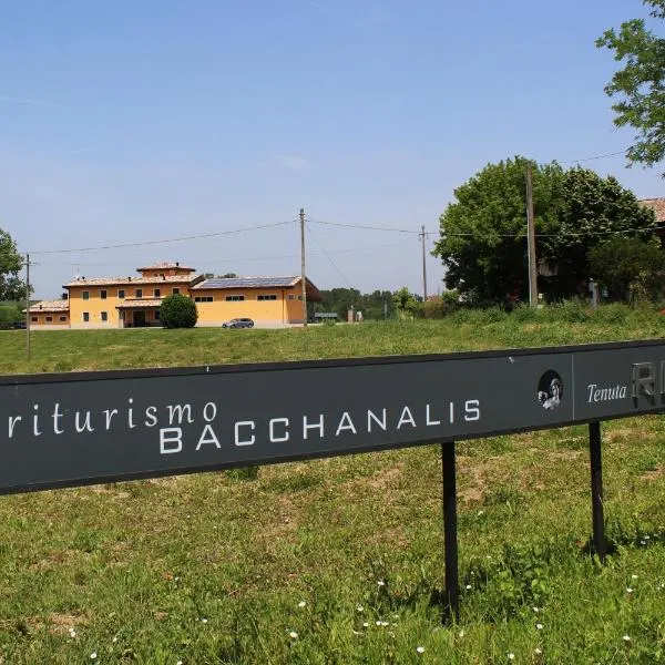 Agriturismo Bacchanalis，位于Borgonovo Val Tidone的酒店