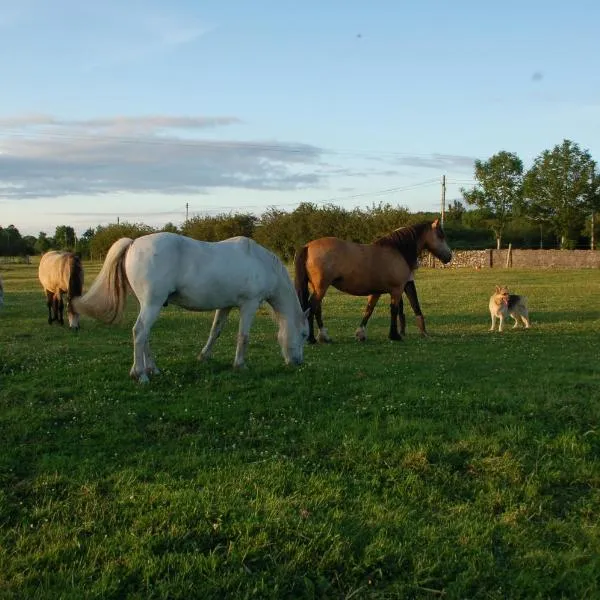 The Little Flock Farm，位于Knockcroghery的酒店