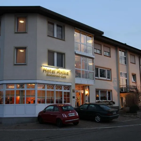 阿尼卡酒店，位于莱茵河畔的纳沙泰尔的酒店