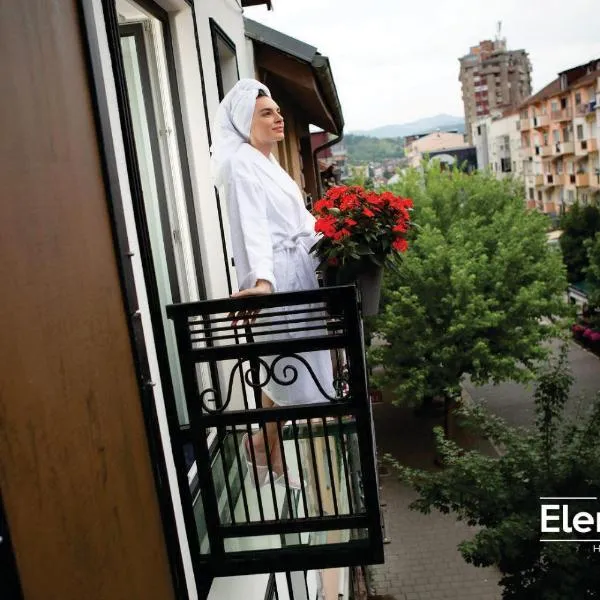 Hotel Elements，位于Raška的酒店