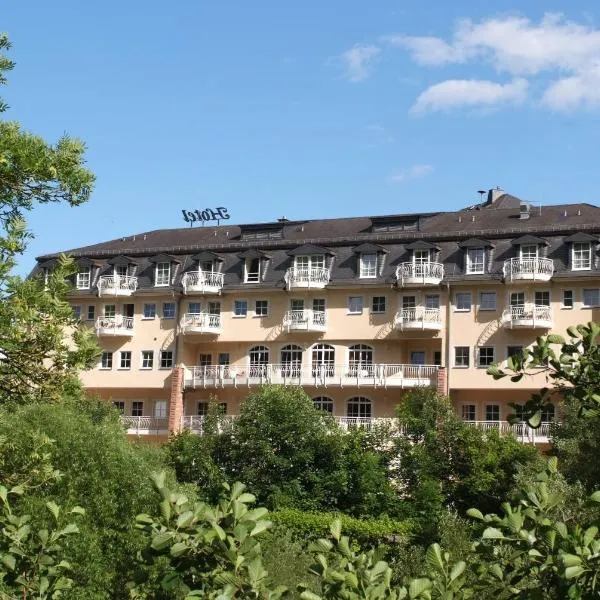 拉赫恩施雷弗酒店，位于Schupbach的酒店