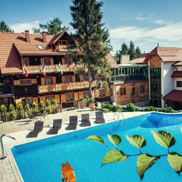 莫德滋维奥卡酒店，位于兰茨科罗纳的酒店