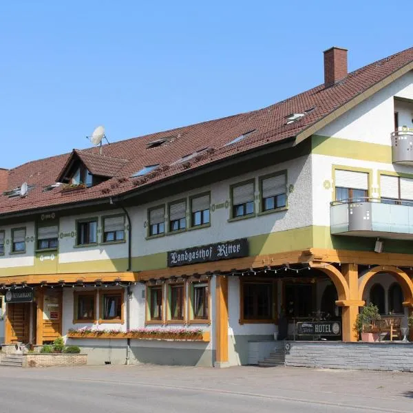 Landgasthof Ritter，位于Ludwigshafen的酒店