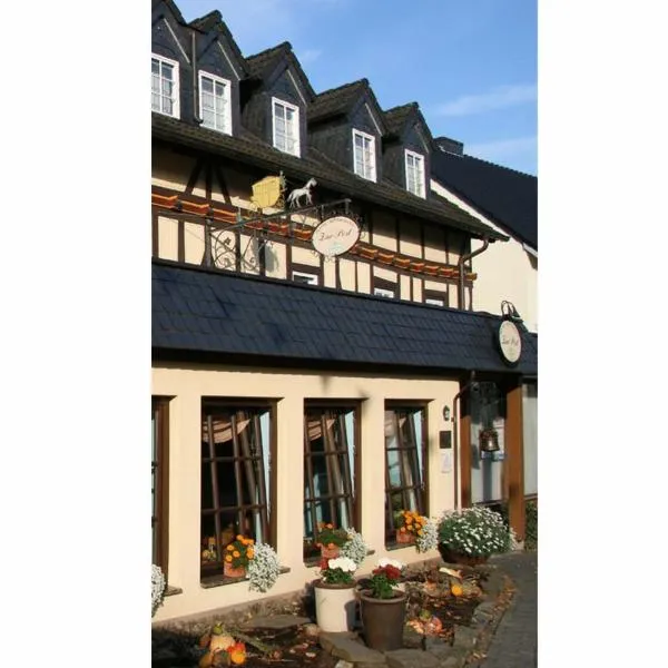 祖尔邮政酒店-餐厅，位于Oberhonnefeld-Gierend的酒店