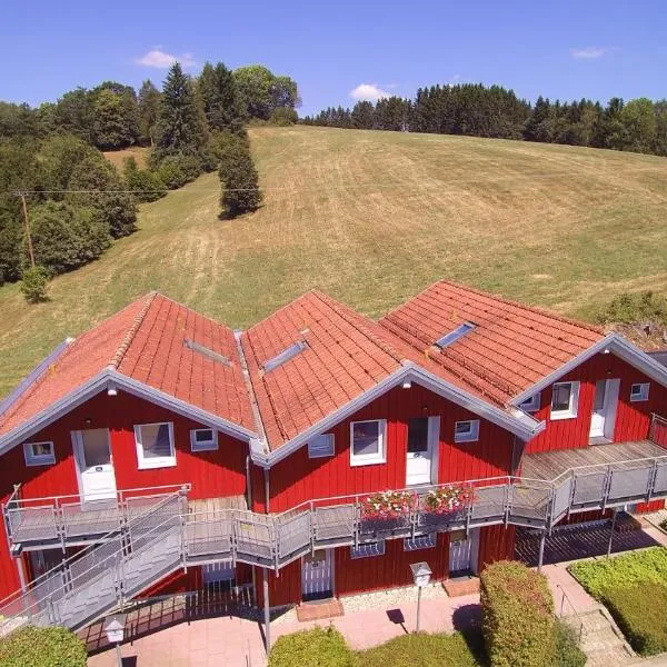 Village Hotel Bayerischer Wald，位于Neukirchen的酒店