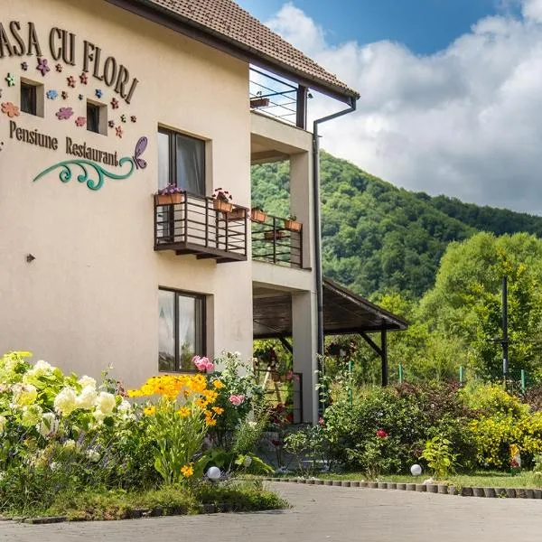 Pensiunea Casa cu Flori，位于西斯纳迪奥拉的酒店