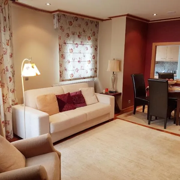 Pontevedra Luxury Apartment，位于庞特维德拉的酒店