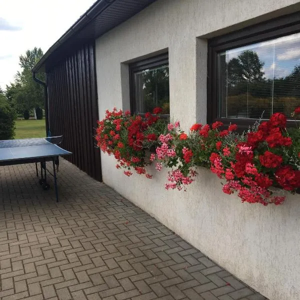 Sauna House in North of Lithuania，位于Vainočiai的酒店