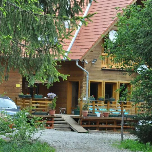 Mofetta Panzió，位于Sîntimbru-Băi的酒店