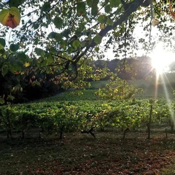 Château Régaldo-Saint Blancard，位于Salleboeuf的酒店