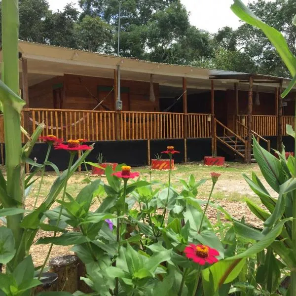 Hostal Caño Nevera，位于La Macarena的酒店