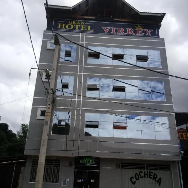 Gran Hotel Virrey，位于圣拉蒙的酒店