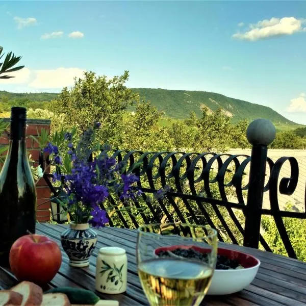 Panoráma Apartman，位于莫尔的酒店