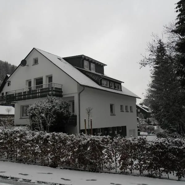 Ferienwohnung Haus Kloosterman，位于温特贝格的酒店