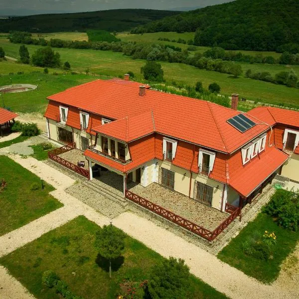 Saciova Hills，位于Valea Dobîrlăului的酒店