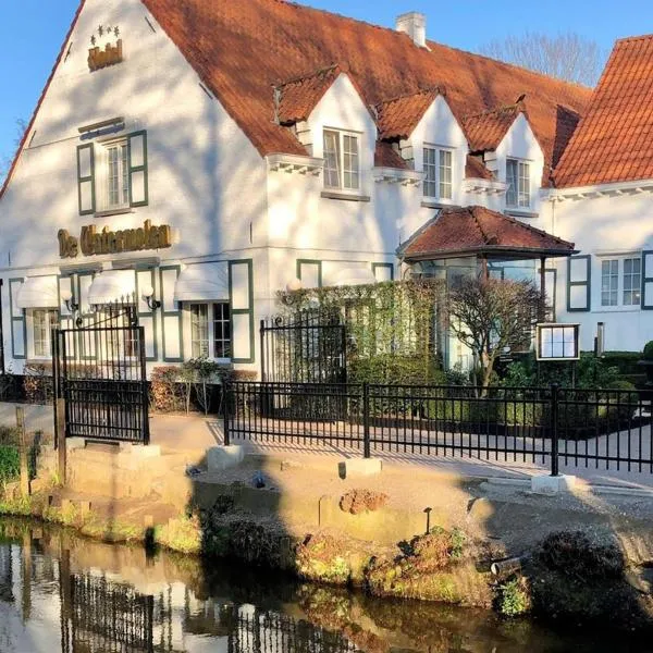 De Watermolen，位于Nederheide的酒店