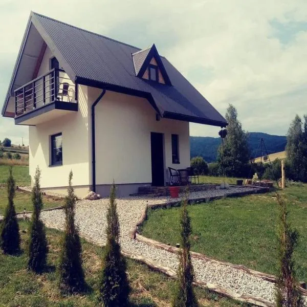 Domek na Przylasku，位于克鲁斯兹考采的酒店
