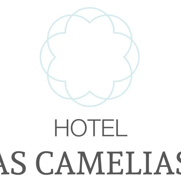 Hotel As Camelias，位于Vilarrodis的酒店