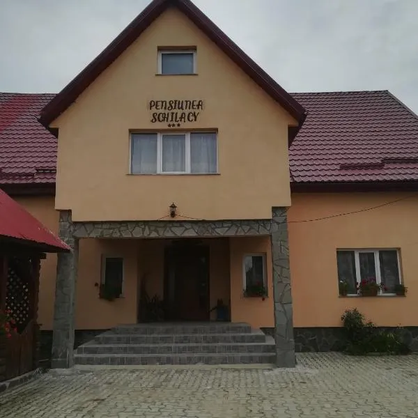 Pensiunea Schilacy，位于Lăpuş的酒店