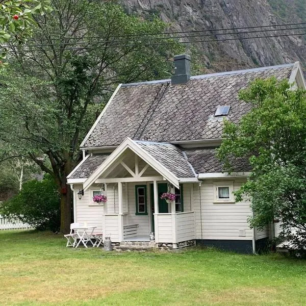 Aobrio Holidayhouse, authentic norwegian farmhouse close to Flåm，位于莱达尔绥里的酒店