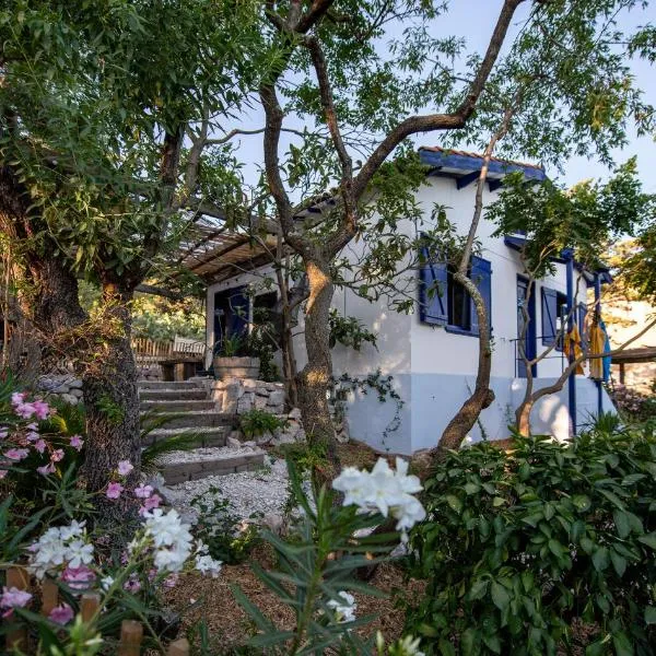 Les Maisons de pêcheur avec Jacuzzi，位于塞特港的酒店