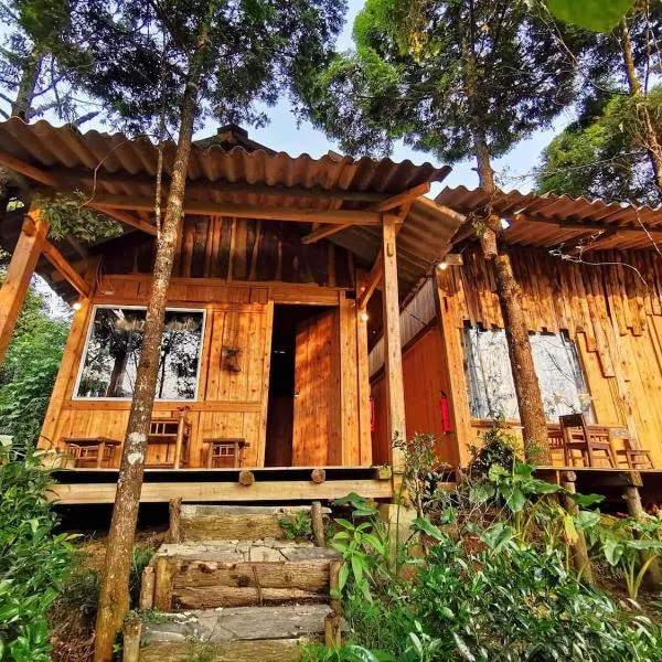 Sapa Jungle Homestay，位于萨帕的酒店