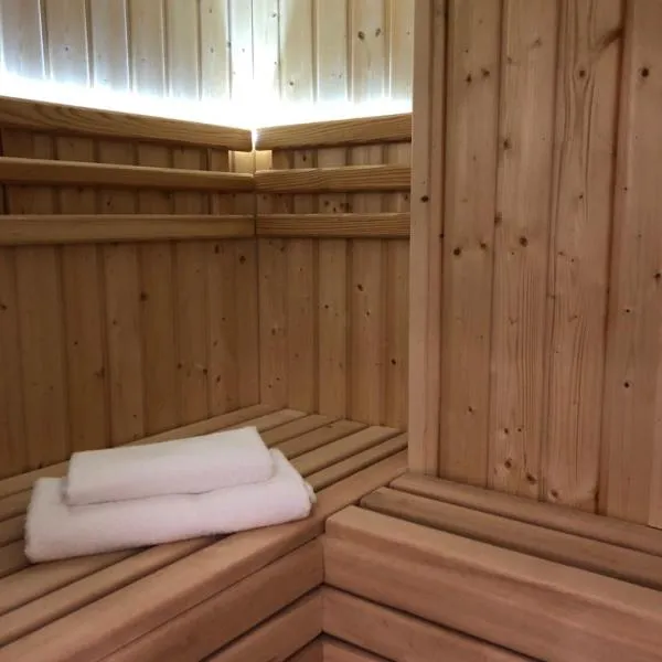 Family & Business Sauna Apartments Plac Wolności CENTRUM Downtow, UNIKAT - 5 Bedroom with Private Sauna, Bath with Hydromassage, Parking, Catering Options，位于Cedzyna的酒店