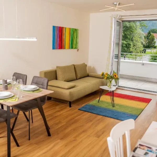 Cityapartment Dornbirn 50 qm，位于比尔的斯坦的酒店