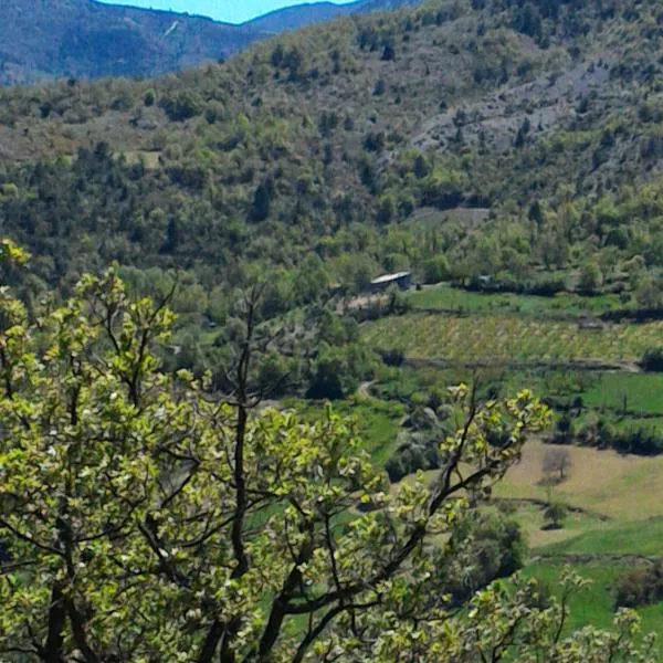 Ferme La Viste，位于Saint-Auban-sur-lʼOuvèze的酒店