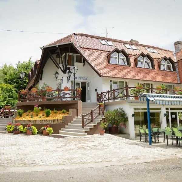 Thermal Panzió Igal，位于Felsőmocsolád的酒店