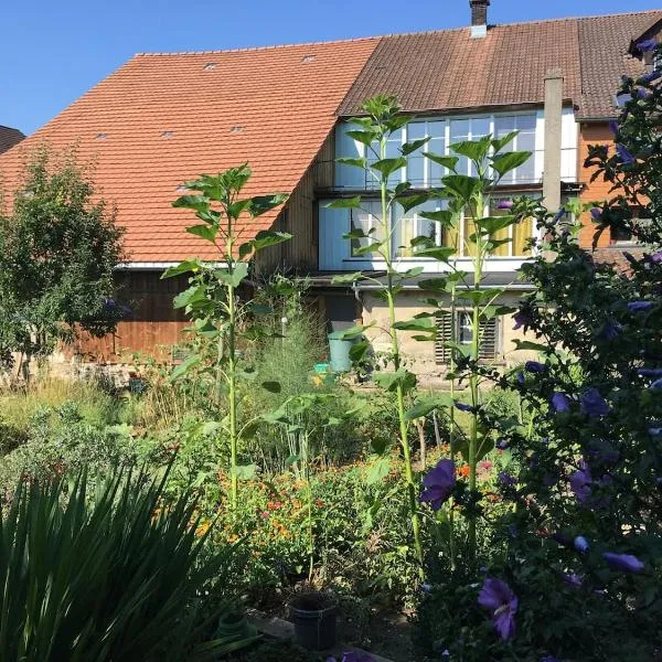 Grosszügiges Bauernhaus für Familie und Freunde，位于Hallau的酒店