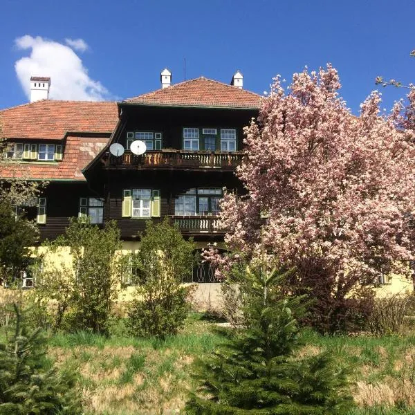 Zeilinger Villa，位于克尼特尔费尔德的酒店