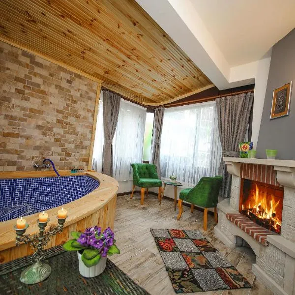Ağva Deniz Yıldızı Otel，位于Bağırganlı的酒店