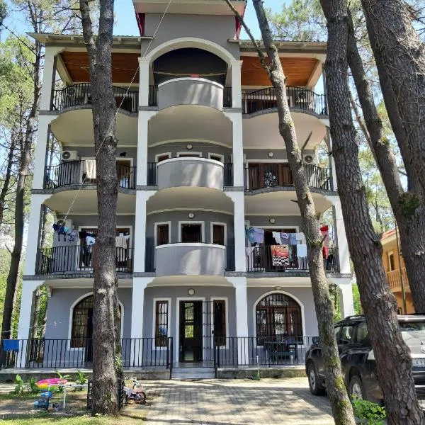 Hotel Niko，位于谢赫维蒂利的酒店