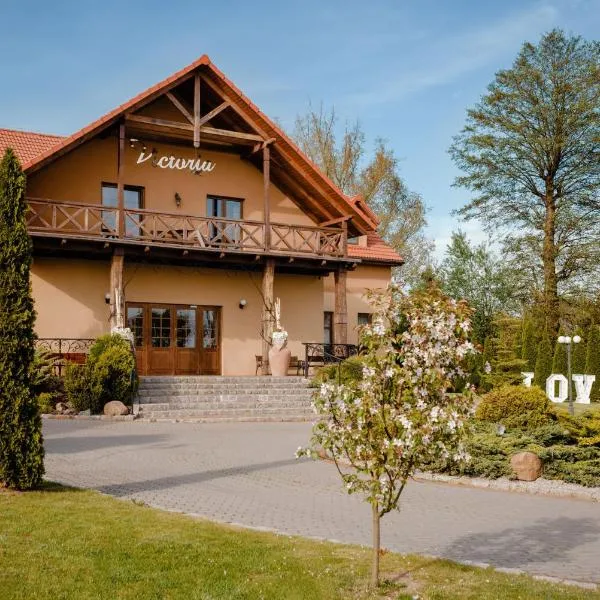 Victoria，位于Młynary的酒店