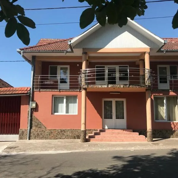 SergillioHouse，位于Vaşcău的酒店