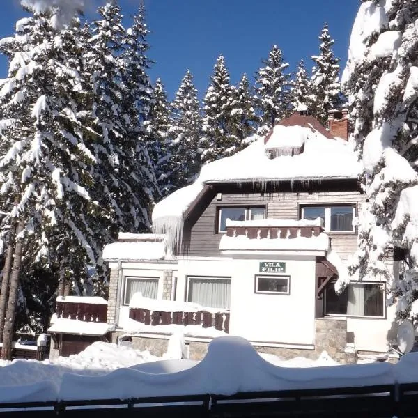 菲利普别墅木屋，位于普雷代亚尔的酒店