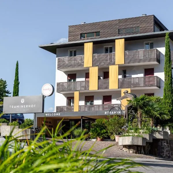塔米纳霍夫酒店，位于Cortina Sulla Strada Del Vino的酒店