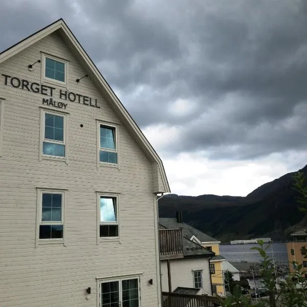 托格特酒店，位于Deknepoll的酒店