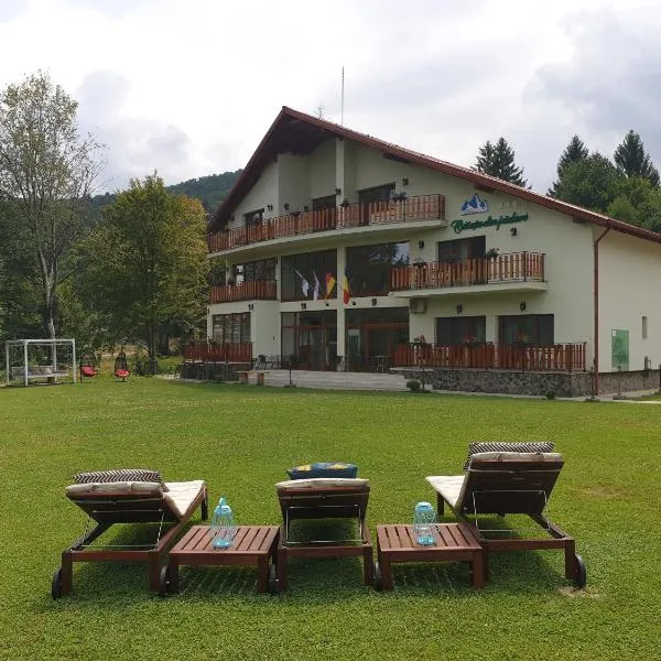 Casuta Din Padure，位于Drăguş的酒店
