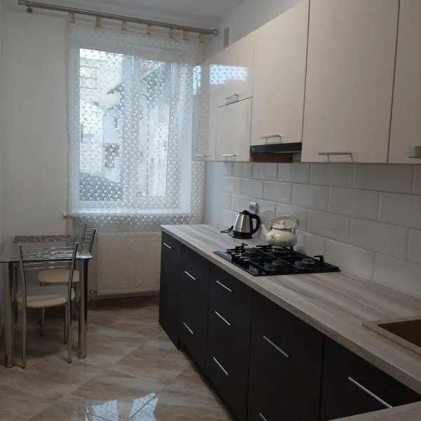 Apartment in Serbska Lviv，位于利沃夫的酒店