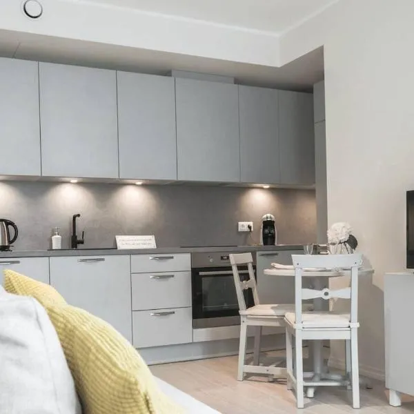 Kalamehe Modern Apartment 1 near City center，位于派尔努的酒店